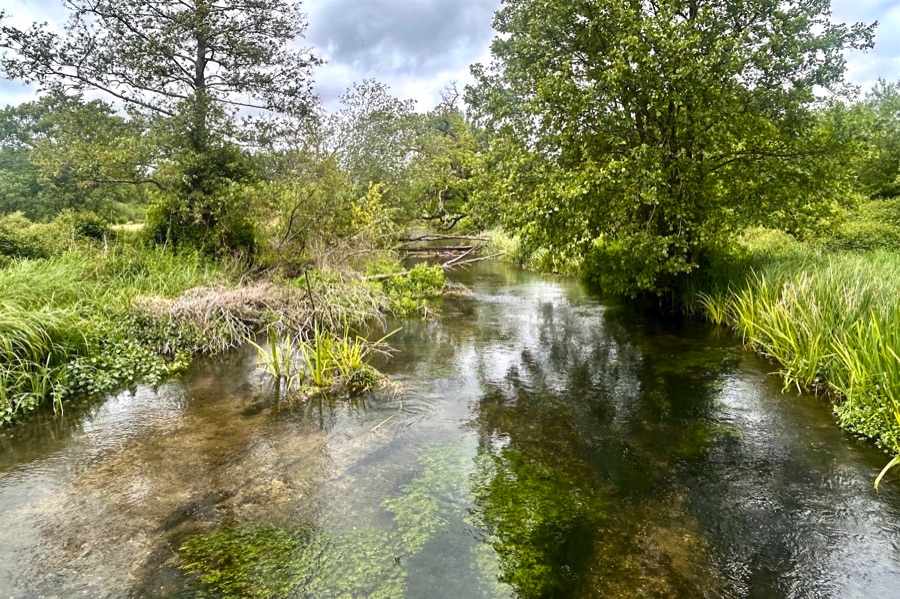 The River Test